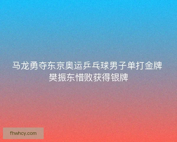 马龙勇夺东京奥运乒乓球男子单打金牌 樊振东惜败获得银牌